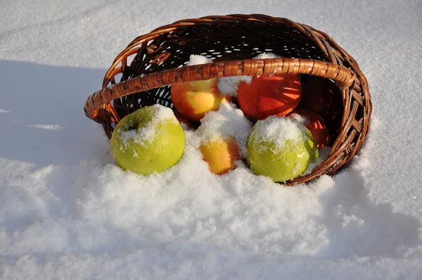 For the song Apples on the snow singer Michael Muromova — Stock Photo, Image