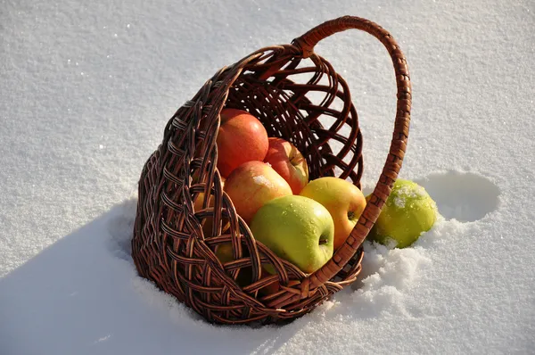 Para a canção Maçãs no cantor de neve Michael Muromova — Fotografia de Stock