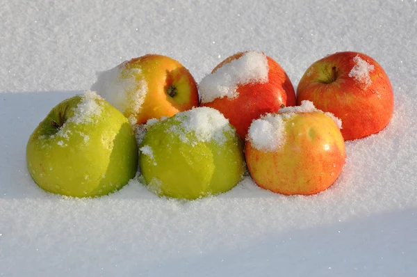 Für das Lied Äpfel auf Schnee sängerin michael muromova — Stockfoto