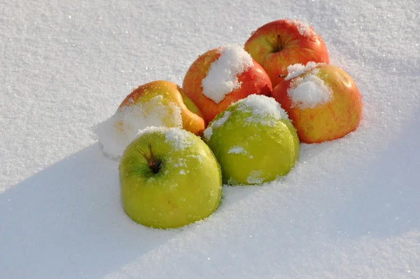 For the song Apples on the snow singer Michael Muromova — Stock Photo, Image