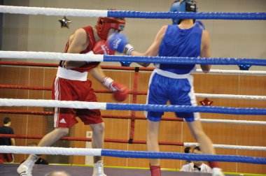 Erkekler boksBoxeo para hombres