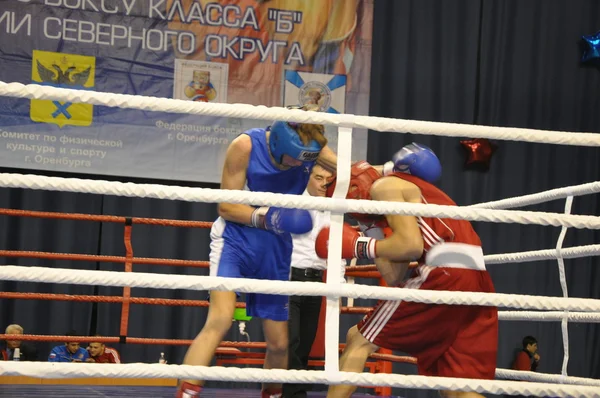 Boxing for men — Stock Photo, Image