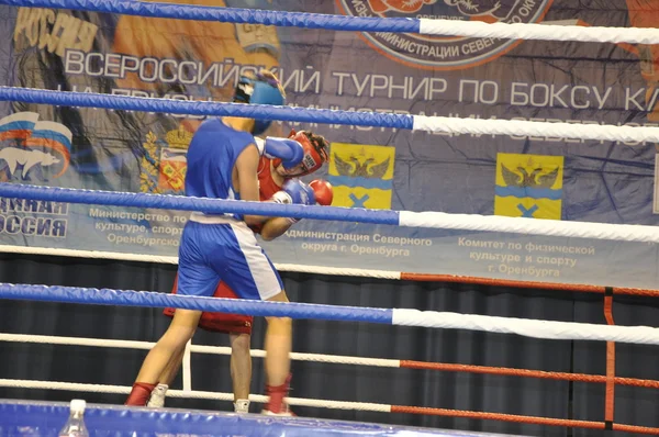 Boxeo para hombres — Foto de Stock