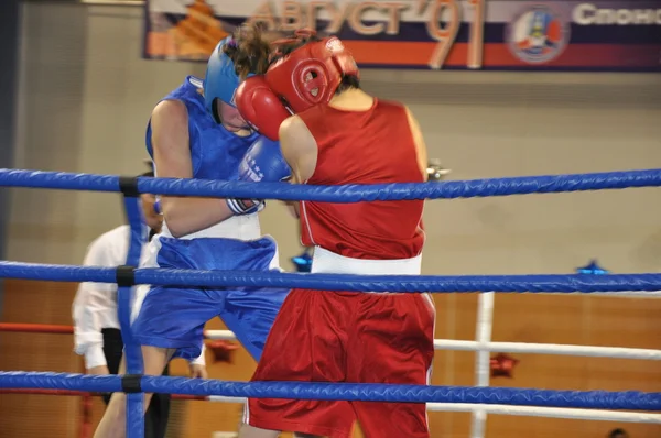 Boxe pour hommes — Photo