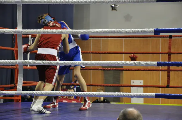 Boxeo para hombres — Foto de Stock