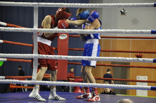 Boxe para homens — Fotografia de Stock