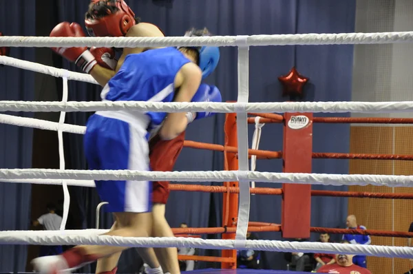 Boxe pour hommes — Photo