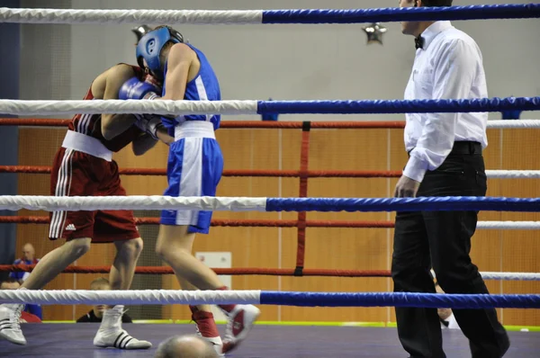 Boxeo para hombres —  Fotos de Stock