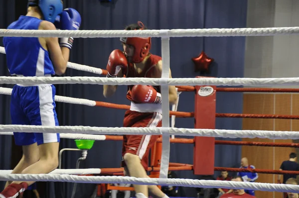 男性のためのボクシング — ストック写真