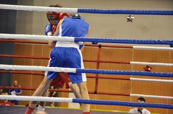 Erkekler boksBoxeo para hombres — Stok fotoğraf