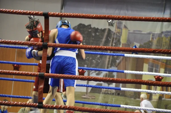 Erkekler boksBoxeo para hombres — Stok fotoğraf