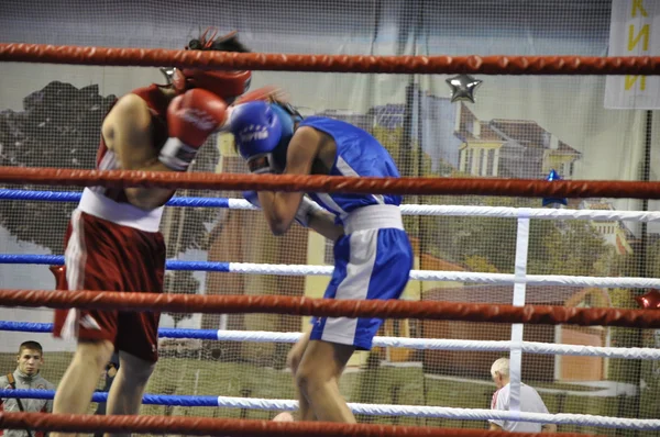 Boxe pour hommes — Photo