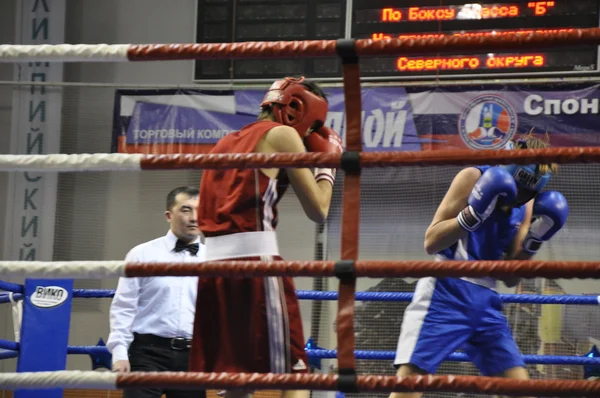 Boxning för män — Stockfoto