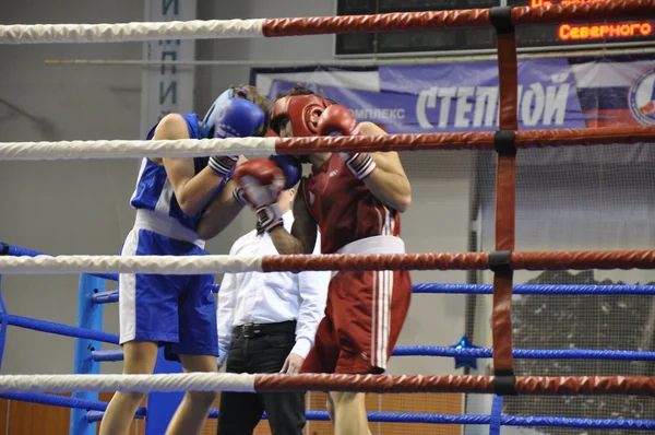 Boxing for men — Stock Photo, Image