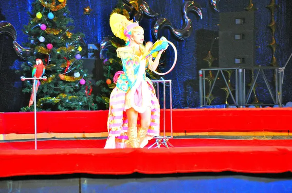 Parrots in the circus arena — Stock Photo, Image