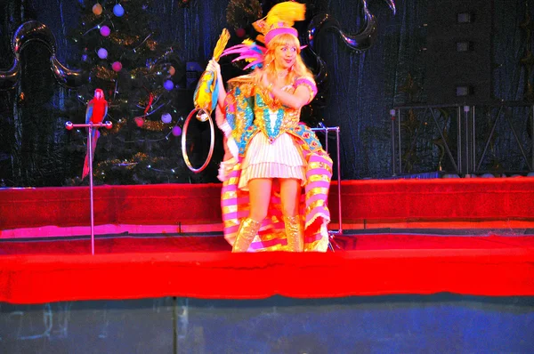 stock image Parrots in the circus arena