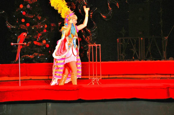 Perroquets dans l'arène du cirque — Photo