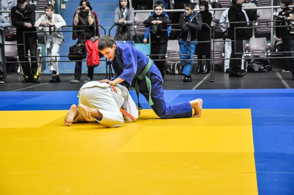 Wedstrijden op judo onder junioren 23.03.2013 — Stockfoto