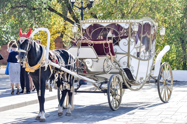 2014 año del caballo, el caballo de la boda —  Fotos de Stock