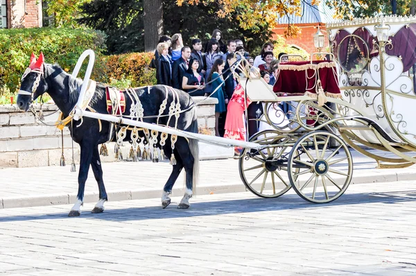 2014 year of the horse, the horse of wedding — Stock Photo, Image