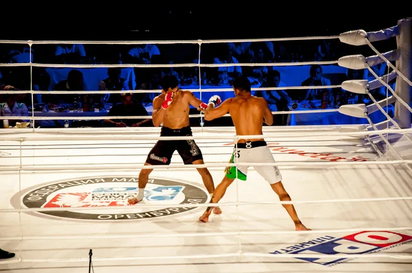 MMA harcok, szabályok nélkül. Agoni Romero, Spanyolország és Szabóné Kul? tumanov, Oroszország — Stock Fotó