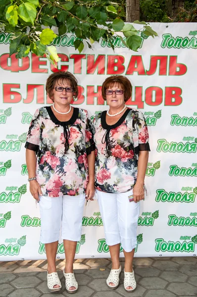 Twins at the Festival — Stock Photo, Image