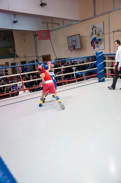 Boxeo entre adolescentes —  Fotos de Stock