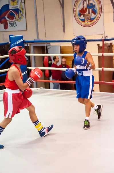 Boxe entre adolescentes — Fotografia de Stock