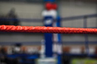 gençler arasında boks