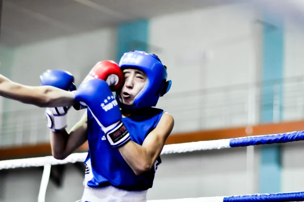 Boxeo entre Juniors —  Fotos de Stock