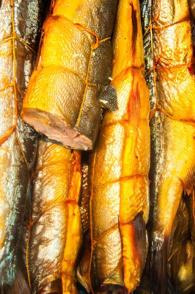 Poissons fumés — Photo