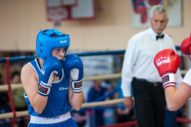 kızlar arasında rekabet boks.