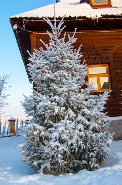 Malý strom jedle a měkké měkký sníh — Stock fotografie