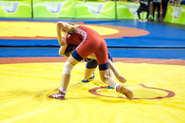 kızlar arasındaki rekabet güreş spor