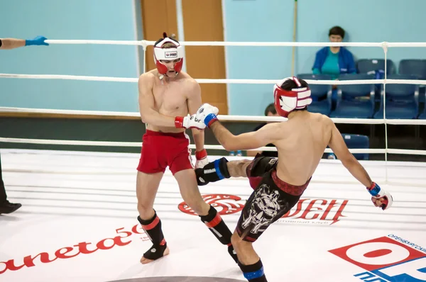 混合された武道 — ストック写真