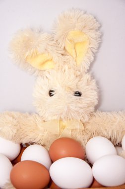 taze yumurta Paskalya Bayramı için