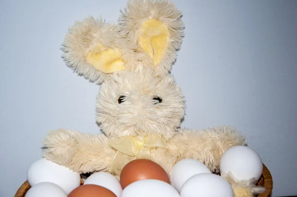 Fresh eggs for the feast of Easter — Stock Photo, Image