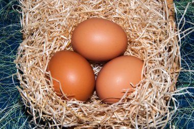 taze yumurta Paskalya Bayramı için.