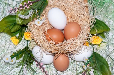 taze yumurta Paskalya Bayramı için.