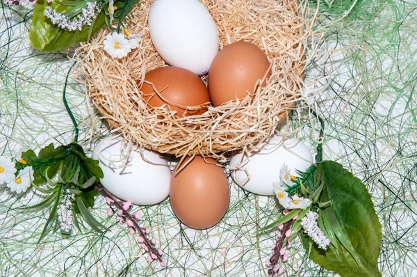 Fresh eggs for the feast of Easter. — Stock Photo, Image