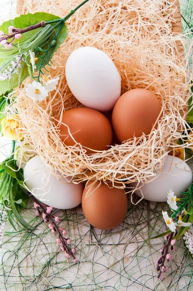 Huevos frescos para la fiesta de Pascua . —  Fotos de Stock