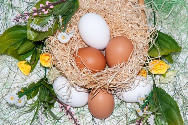 Čerstvá vejce na svátek Velikonoc. — Stock fotografie
