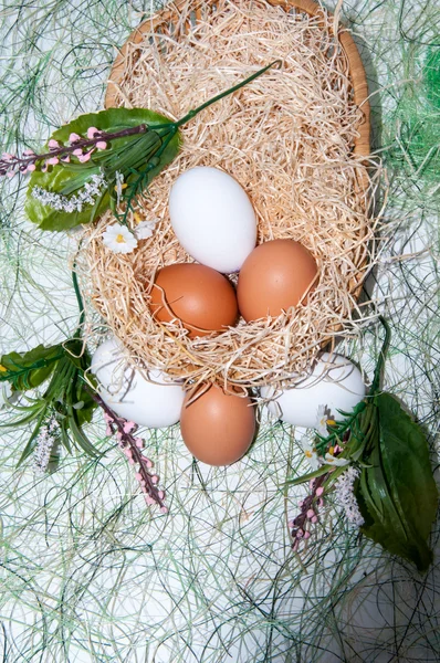 Fresh eggs for the feast of Easter. — Stock Photo, Image