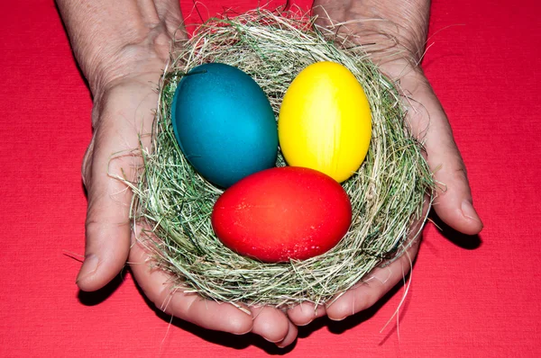 Easter egg in the hands of an elderly person — Stock Photo, Image