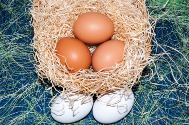 taze yumurta Paskalya Bayramı için..