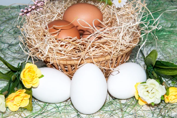 Fresh eggs for the feast of Easter.. — Stock Photo, Image