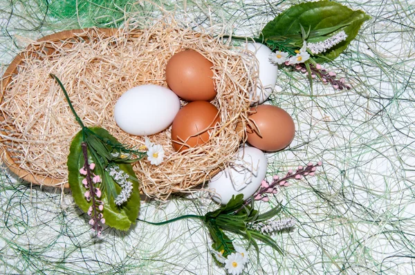 Fresh eggs for the feast of Easter.. — Stock Photo, Image