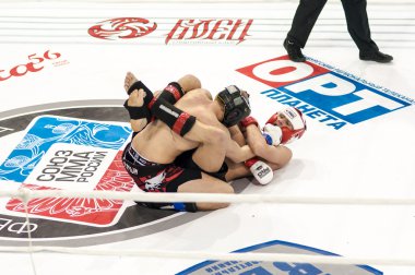  karışık dövüş sanatları...