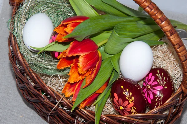 Тюльпан и пасхальное яйцо . — стоковое фото