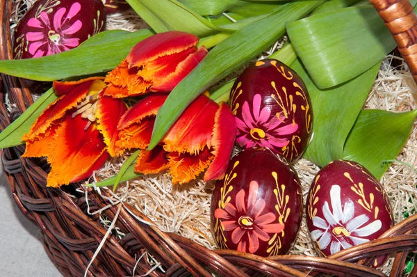 Tulpe und Osterei. — Stockfoto